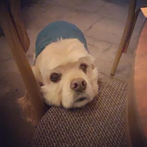 Friend  at HOME Bistro and Cafe in Busan