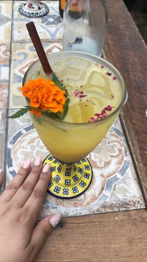 Orange-ade! 🧡 at HOME Bistro and Cafe in Busan