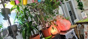 Déco at Mon Resto Sans Gluten in Paris