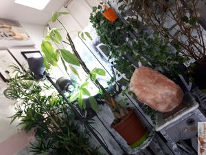 Deco at Mon Resto Sans Gluten in Paris