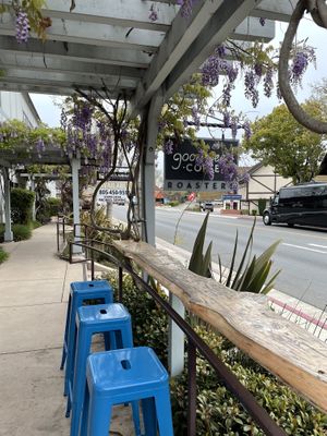   at Good Seed Cafe in Solvang