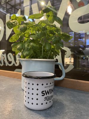   at Swing Kitchen - Rosenthalerstraße in Berlin