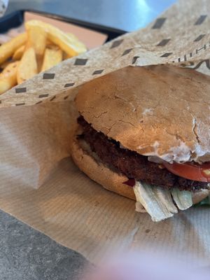 Burger and paucity of friess  at Swing Kitchen - Rosenthalerstraße in Berlin