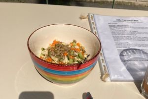   at Little Plant Pantry in Amsterdam