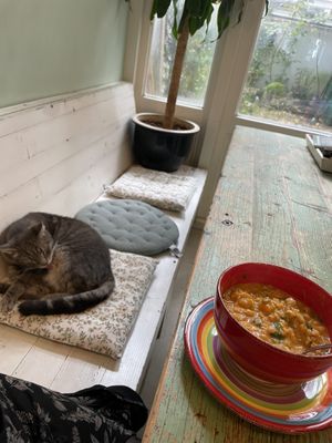   at Little Plant Pantry in Amsterdam