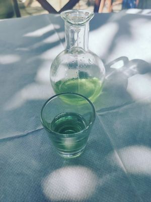  at Oda's Garden in Tirana