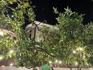 View in the backyard   at Oda's Garden in Tirana