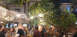  at Oda's Garden in Tirana