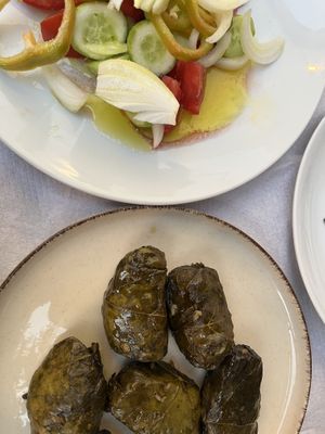 Grape leaves filled with rice 🍙   at Oda's Garden in Tirana