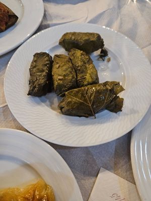  at Oda's Garden in Tirana