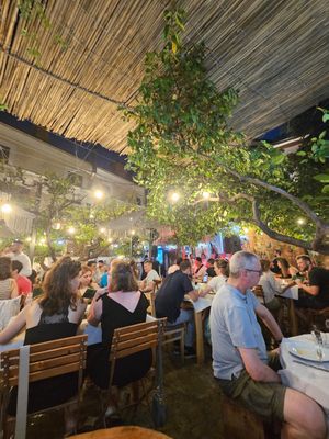  at Oda's Garden in Tirana