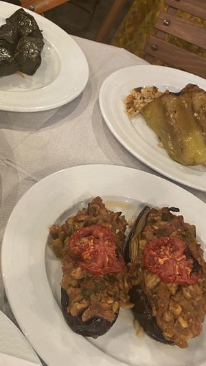 Stuffed eggplant, stuffed pepper, stuffed grape leaves  at Oda's Garden in Tirana