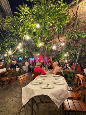   at Oda's Garden in Tirana