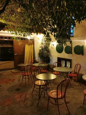  at Oda's Garden in Tirana