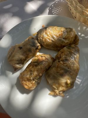   at Oda's Garden in Tirana