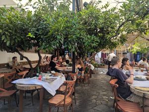  at Oda's Garden in Tirana