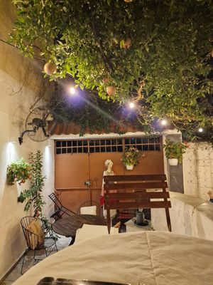 Outside garden wow! at Oda's Garden in Tirana