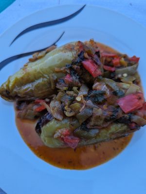 Stuffed peppers at Temi Albanian Food in Berat