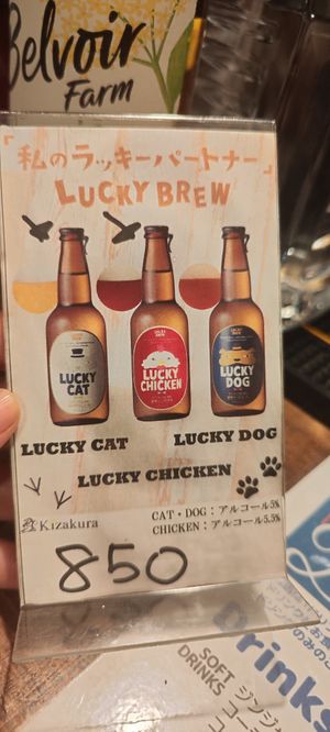  at Rainbow Burritos in Tokyo