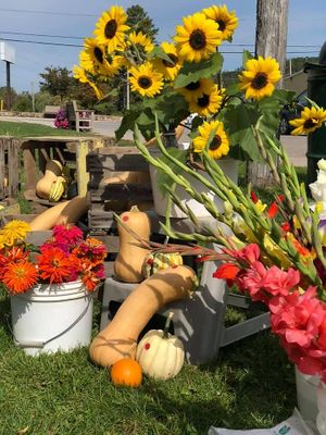 . at Bancroft Street Market in Omaha