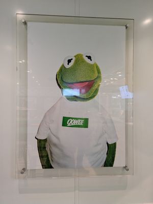 Kermit says Go Vegan! at Oowee Vegan - Baldwin in Bristol