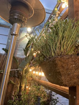 Beautiful ambience in the hidden back patio  at Thai Delight in San Luis Obispo