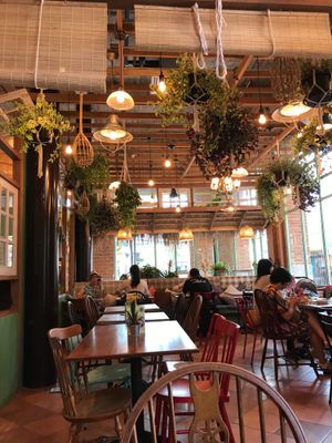 Interior at Ginger Farm Kitchen in Chiang Mai