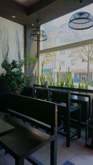 Ankhang Quan at An Khang Quan in Dusseldorf