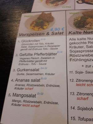 menu at An Khang Quan in Dusseldorf