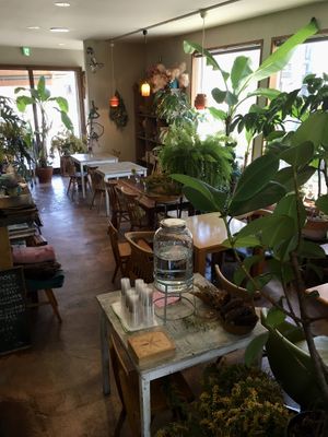   at Natural Cafeina in Nagano