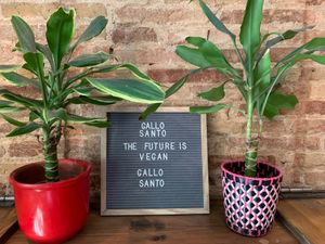 Lovely decoration at Gallo Santo in Barcelona