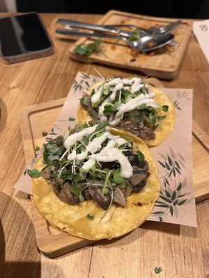   at Gallo Santo in Barcelona