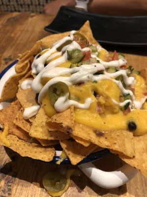   at Gallo Santo in Barcelona