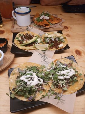 tacos at Gallo Santo in Barcelona