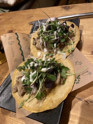   at Gallo Santo in Barcelona