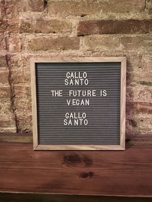   at Gallo Santo in Barcelona