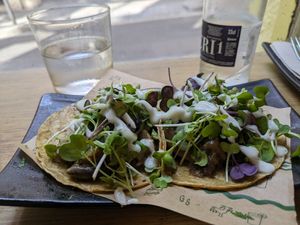 Mushroom tacos (a little Underwhelming) at Gallo Santo in Barcelona