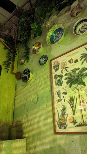  at Gallo Santo in Barcelona