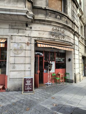  at Gallo Santo in Barcelona