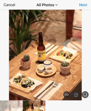 Gallo Santo serves Mèxican vegan food such as variety of Tacos: 
1)Tinga Hibiscus 
2)Yaka Pibil
3)Mushroom
4)Al Pastor
5)Pumpkin Kale
All tacos are accompanied with sauces a at Gallo Santo in Barcelona