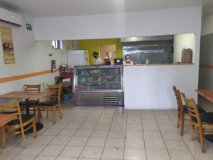 Inside at EarthBowl in Tijuana