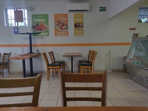 Inside at EarthBowl in Tijuana