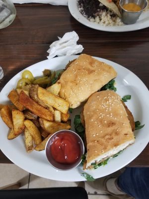  at EarthBowl in Tijuana