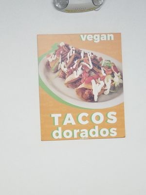  at EarthBowl in Tijuana