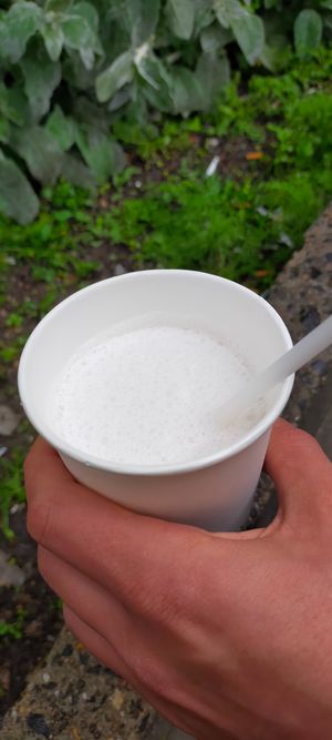 Banana Milkshake  at VeganWaf in Brussels