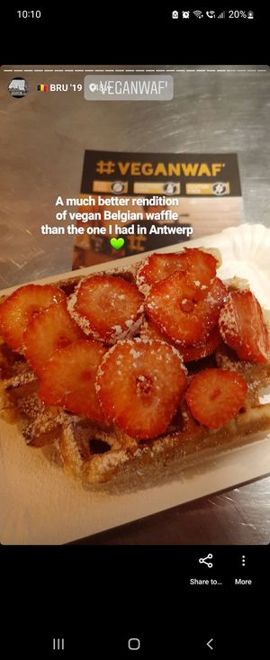  at VeganWaf in Brussels