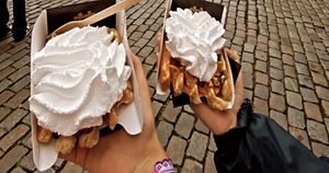 Délicieux et copieux !  at VeganWaf in Brussels