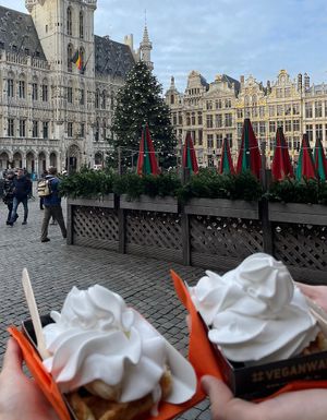  #Veganuary at VeganWaf in Brussels