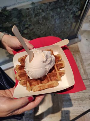  at VeganWaf in Brussels