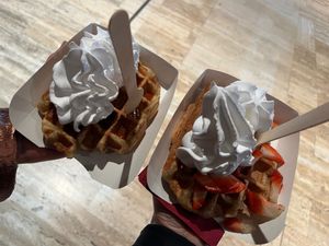  at VeganWaf in Brussels